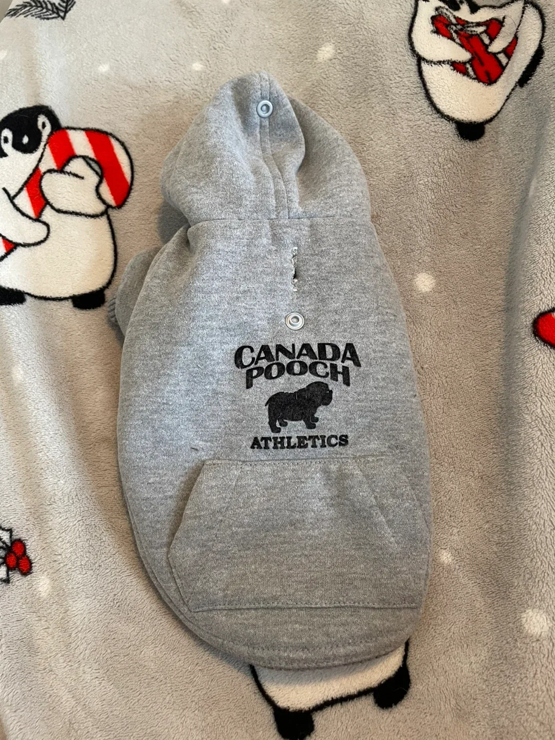 10” (5-8lbs) Canada Pooch Thick Grey Sweater thumbnail