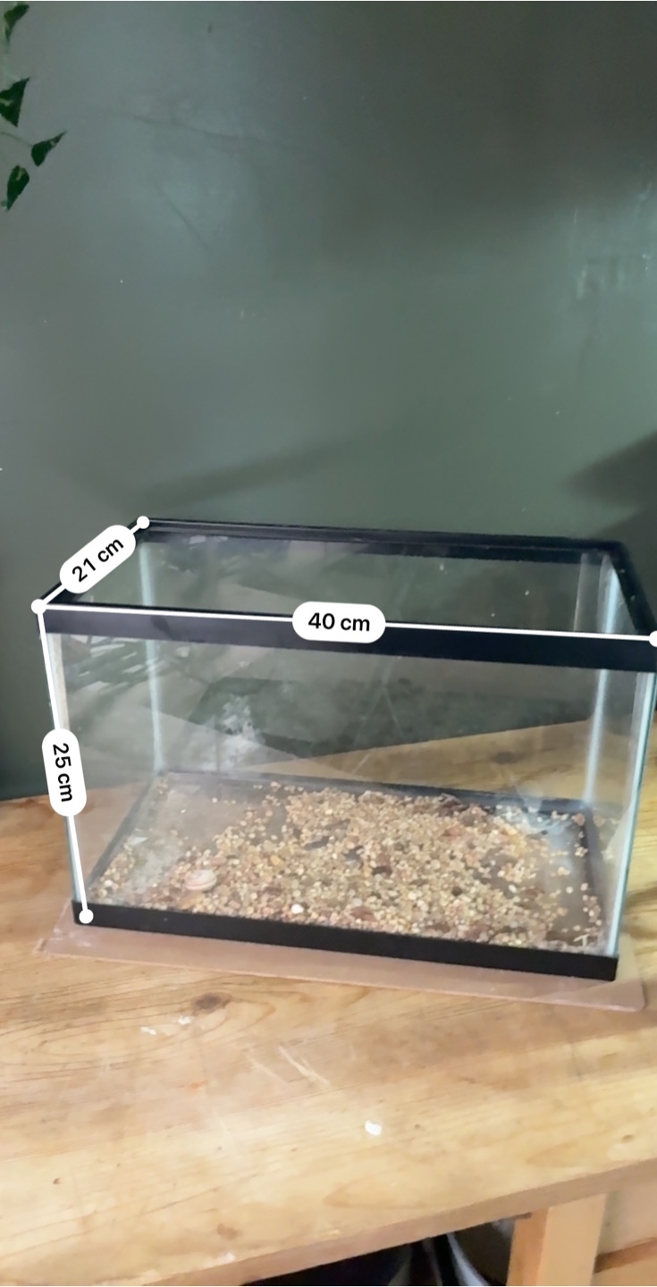 Glass Fish Tank - 40cm x 21cm x 25cm