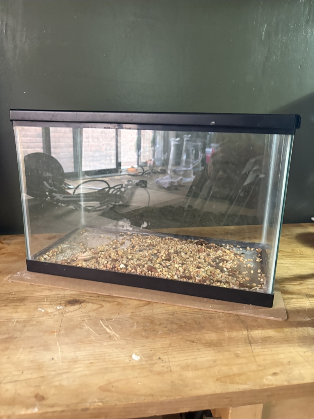 Glass Fish Tank - 40cm x 21cm x 25cm - photo 2