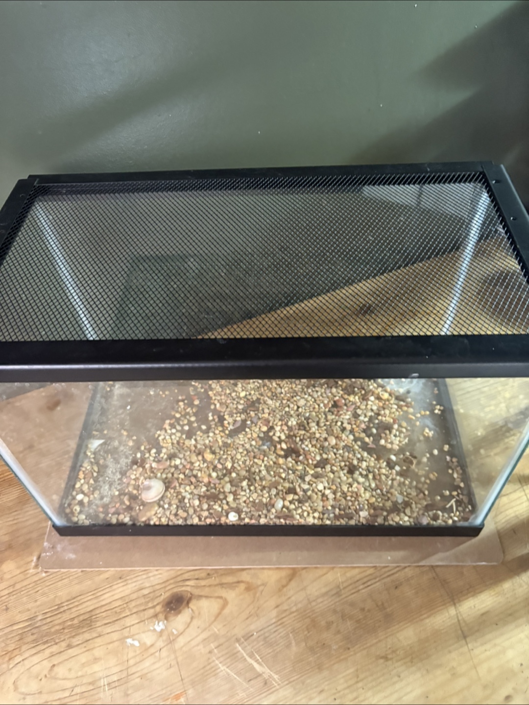 Glass Fish Tank - 40cm x 21cm x 25cm - photo 3