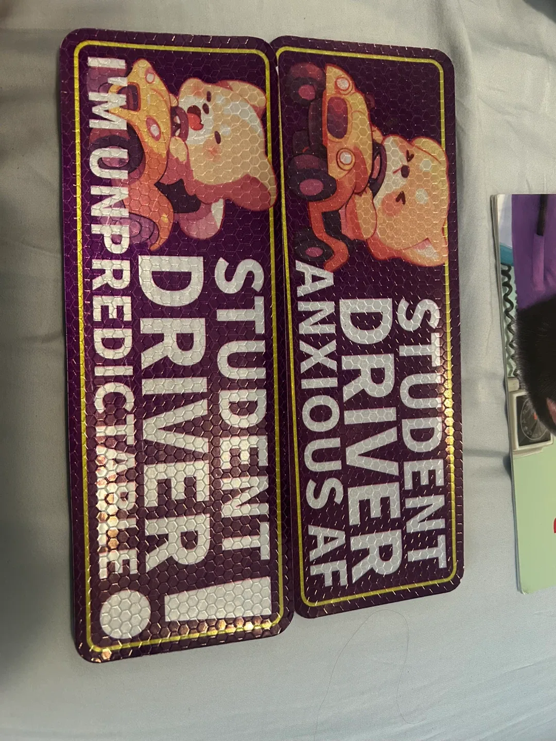 Student Driver Car Magnets thumbnail