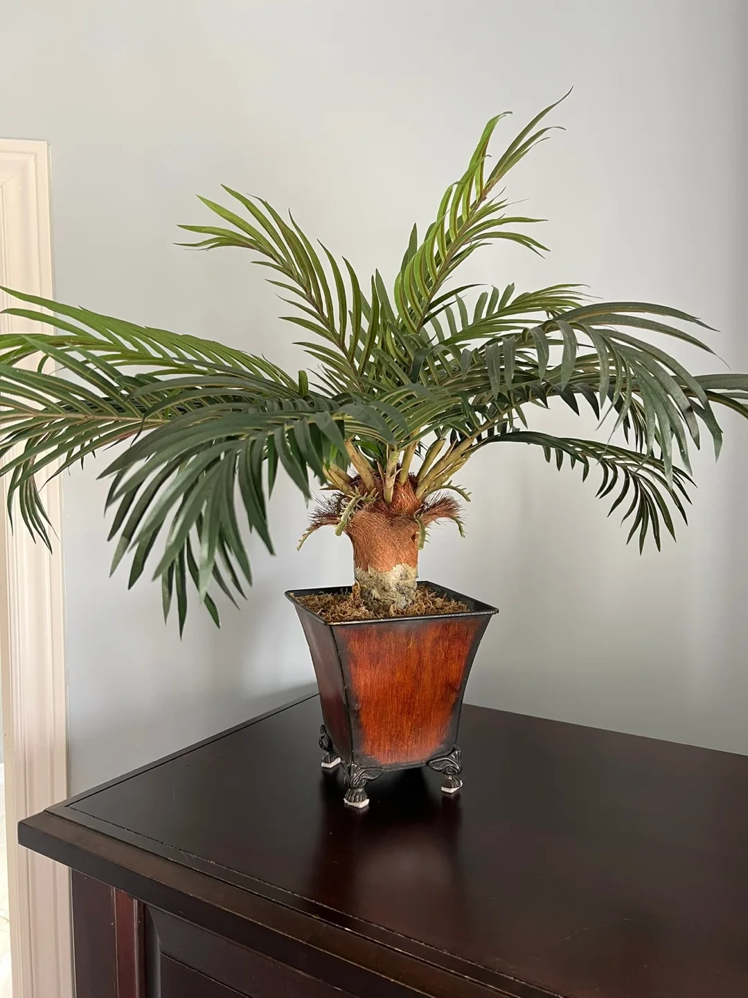 Plant (High Quality Artificial Palm Plant) image indicator(4)