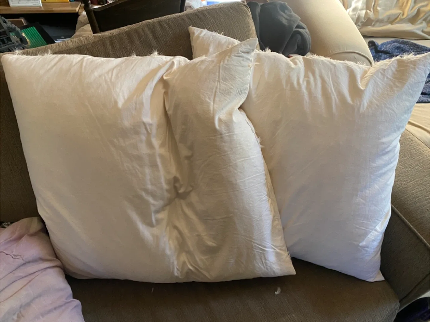 2 Pillow Inserts