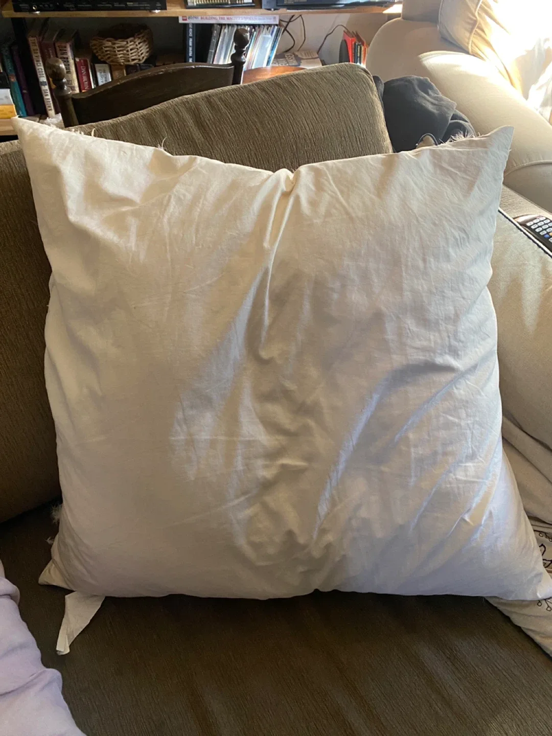 2 Pillow Inserts image indicator(2)