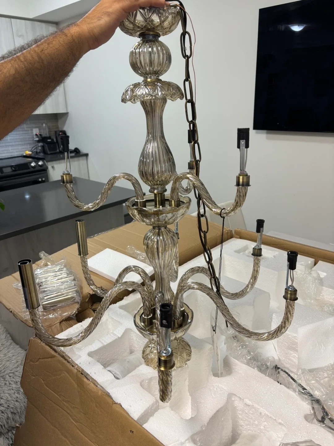 Century Lighting Chandelier - New in Box! image indicator(10)