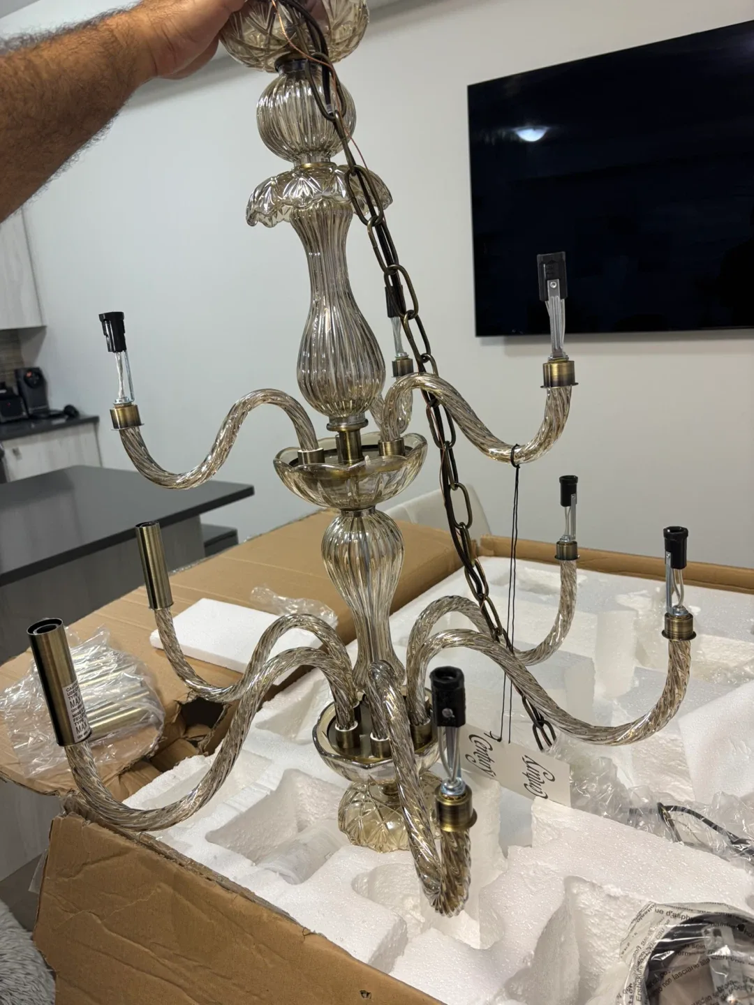 Century Lighting Chandelier - New in Box! image indicator(8)