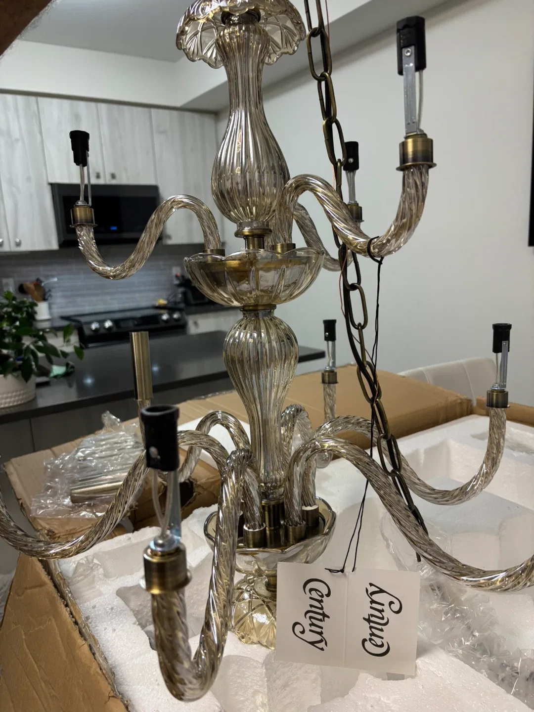 Century Lighting Chandelier - New in Box! image indicator(6)