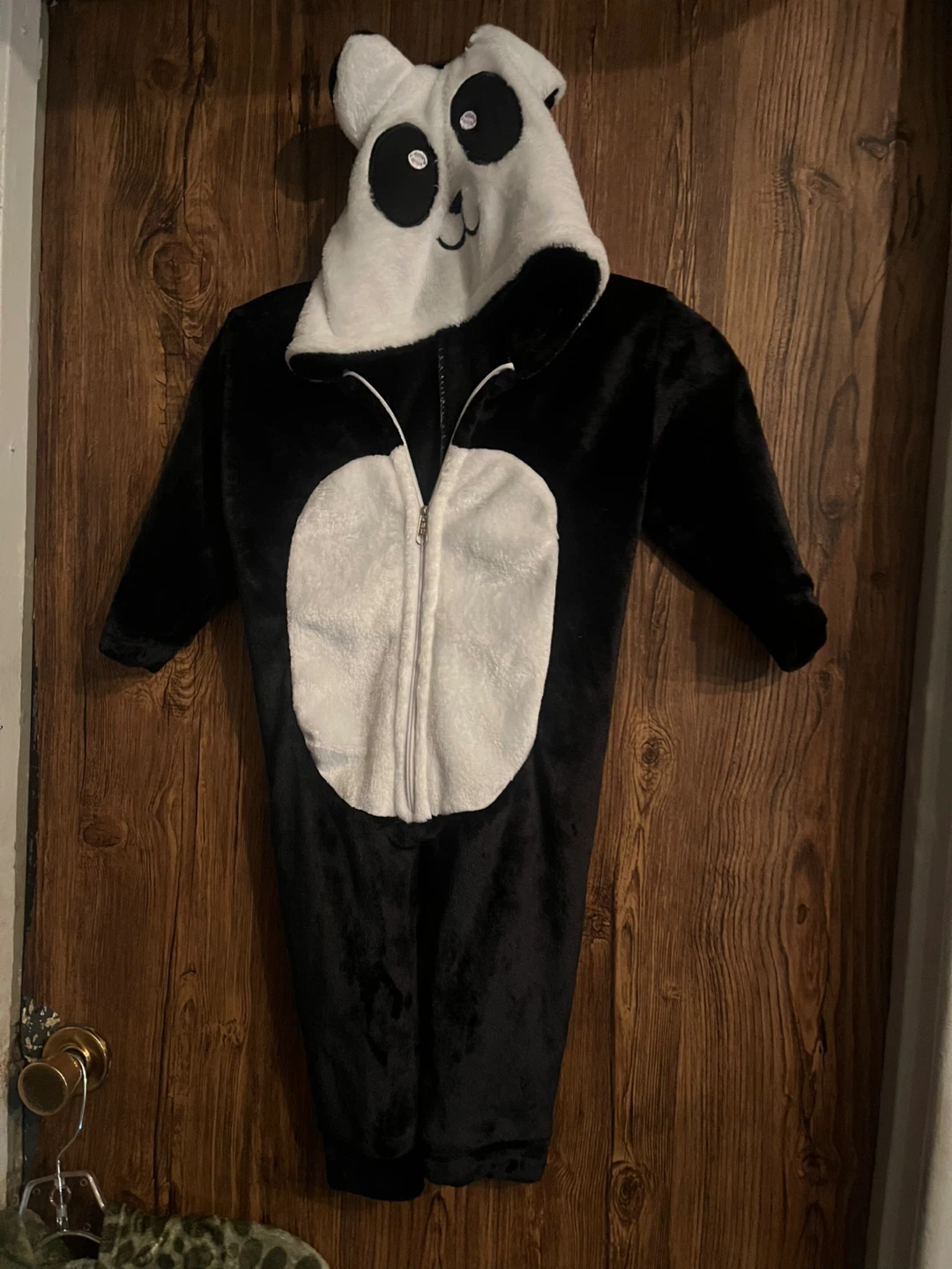 Kids' Costume Bundle - photo 5