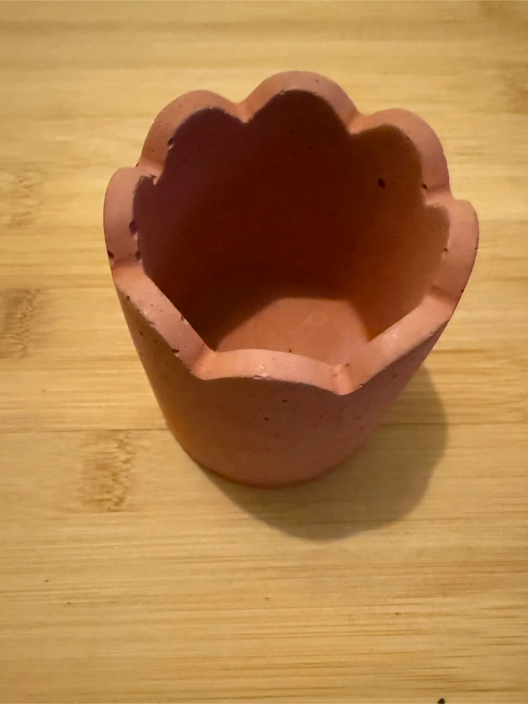 Scalloped Edge Concrete Match Holder / Planter - photo 3