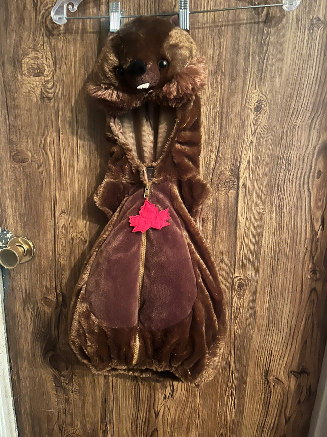 Toddler Lion Costume