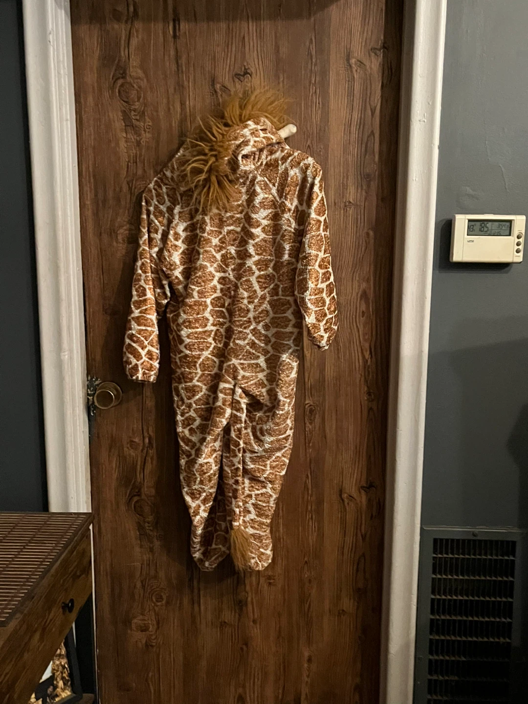 Halloween costumes - photo 4