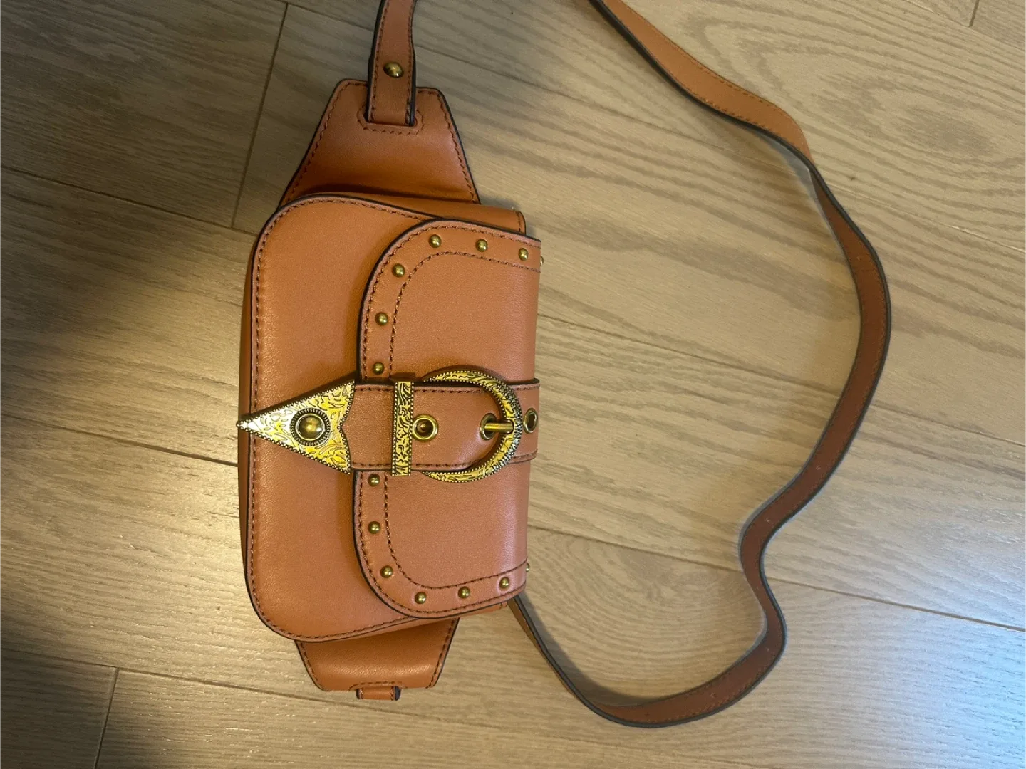 Versace Jeans Couture Brown Crossbody/belt Bag thumbnail