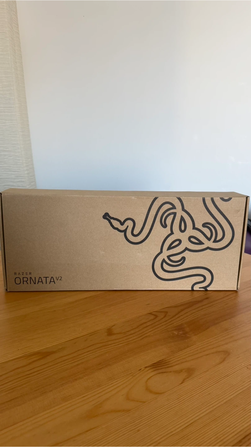 Razer Ornata V2 Keyboard – $20 - photo 4