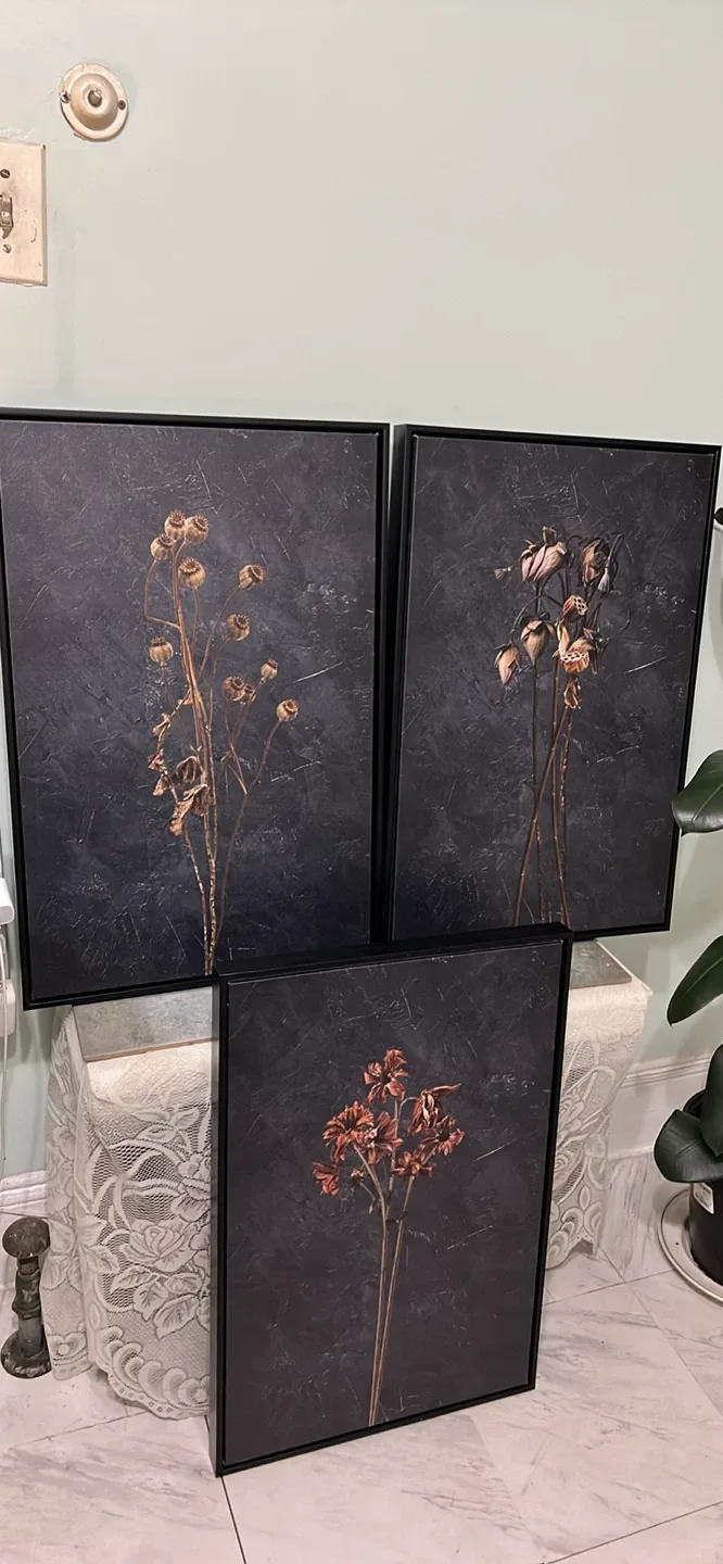 Set of 3 Framed Floral Prints image indicator(4)