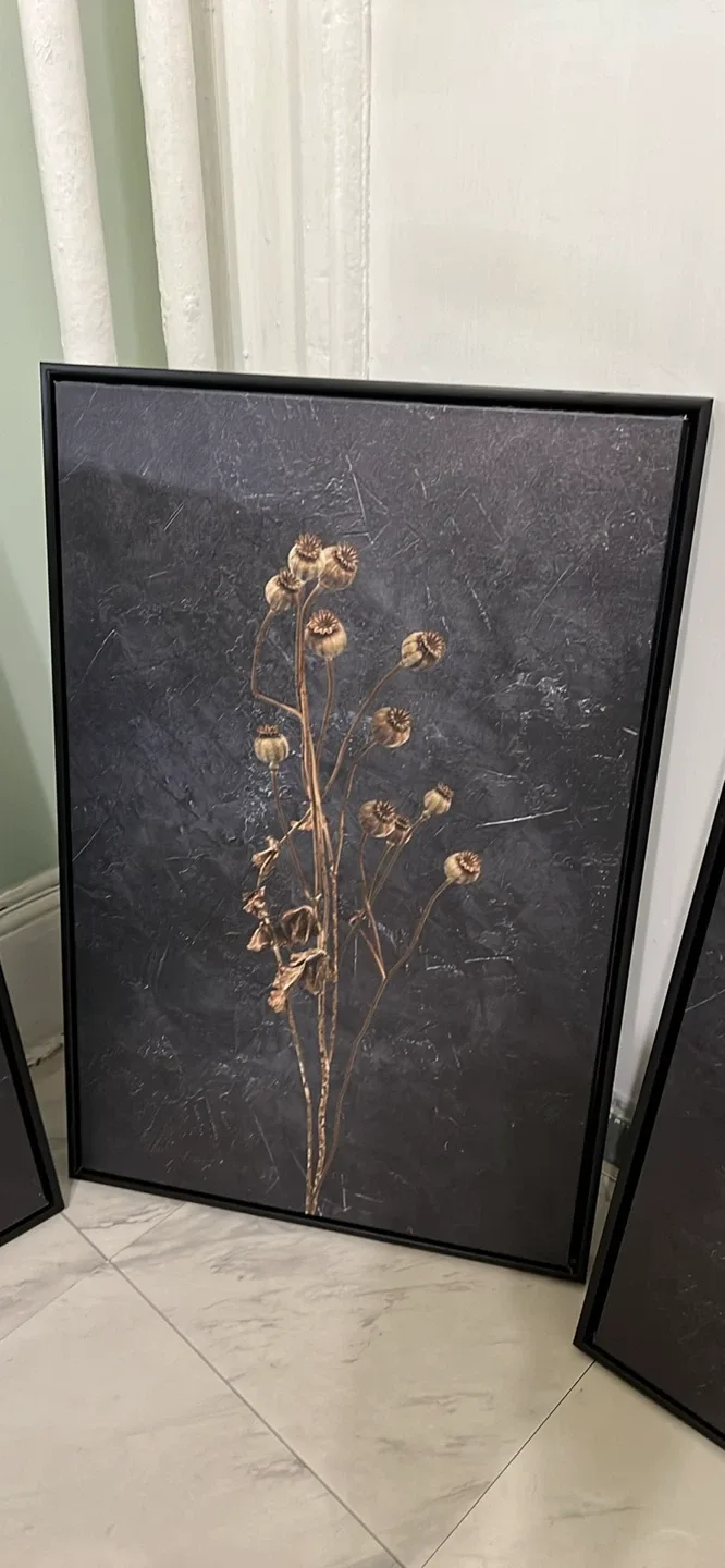 Set of 3 Framed Floral Prints image indicator(3)