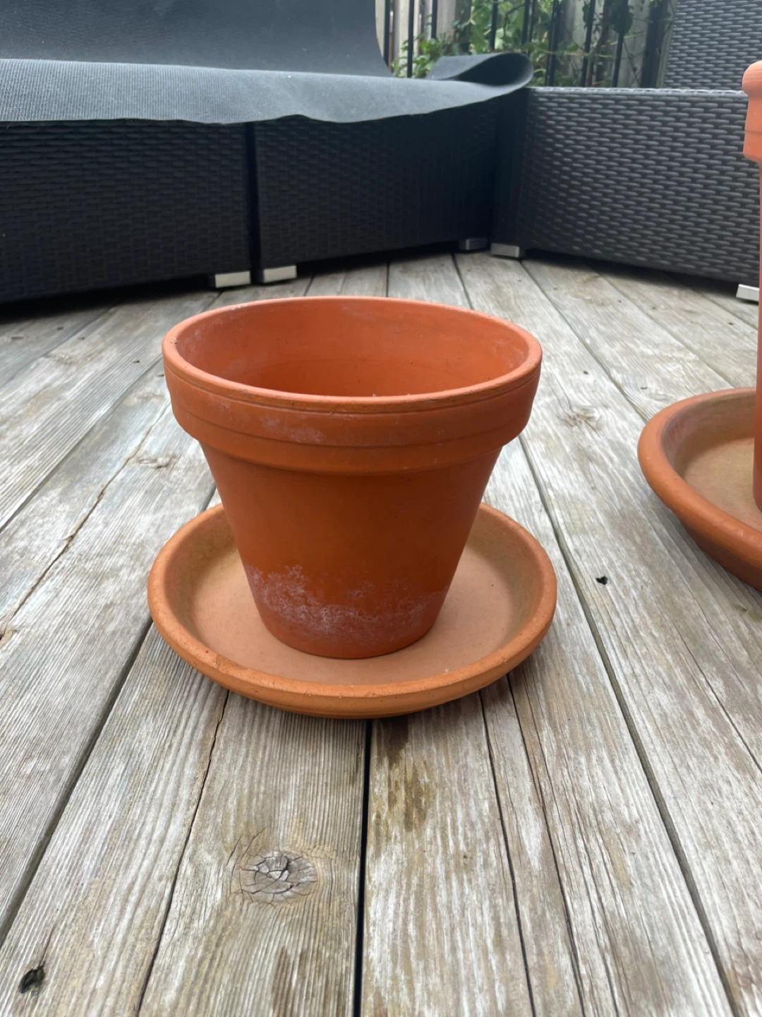 🥕Terracotta Clay Pots with Saucers - photo 3