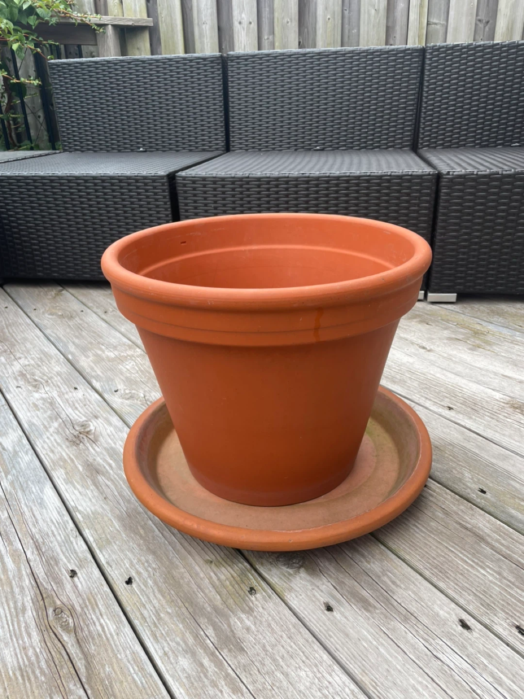 🥕Terracotta Clay Pots with Saucers - photo 2