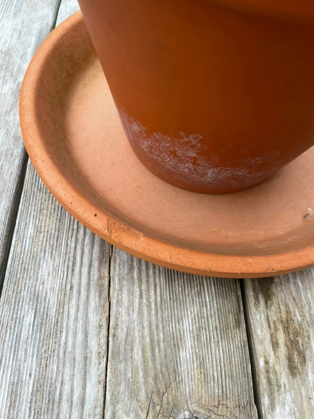 🥕Terracotta Clay Pots with Saucers image indicator(7)