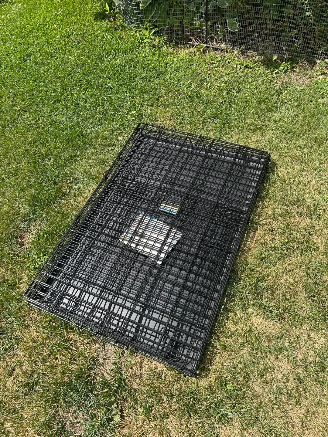 New Large Dog Crate image indicator(5)