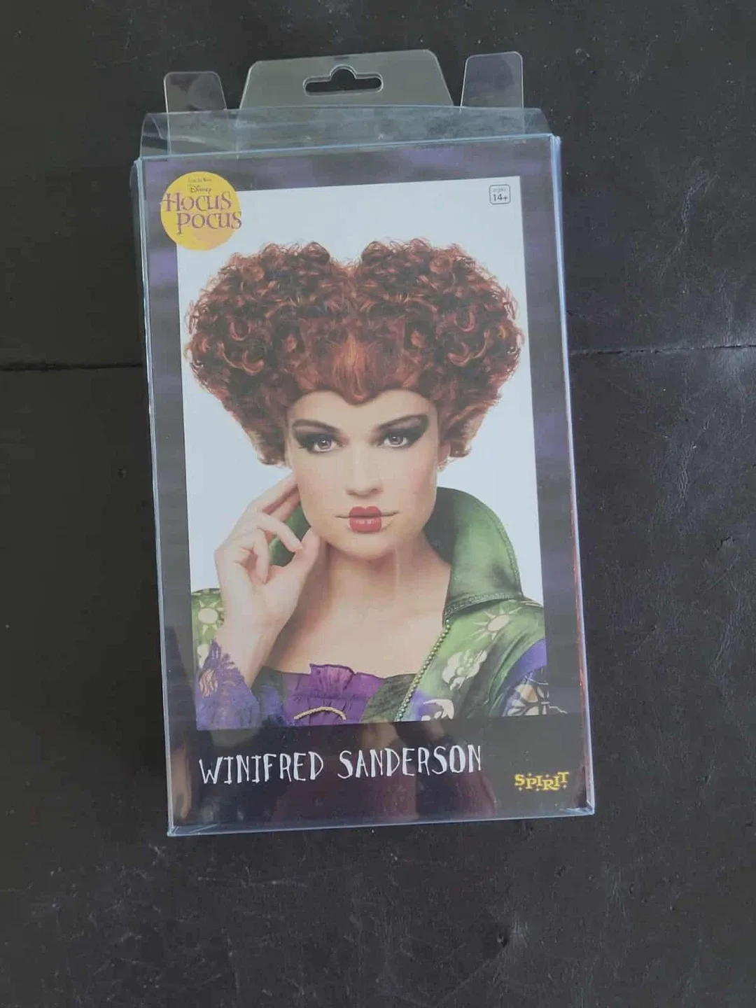 Spirit Halloween Hocus Pocus Winifred Sanderson Costume image indicator(3)