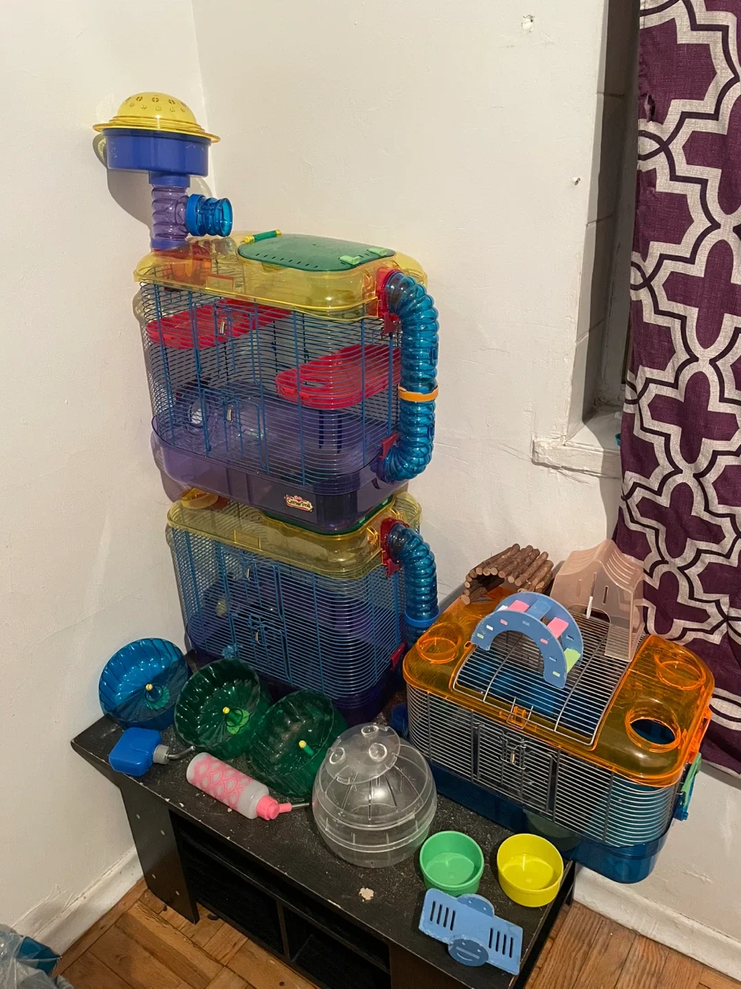 Hamster Cages & Accessories thumbnail
