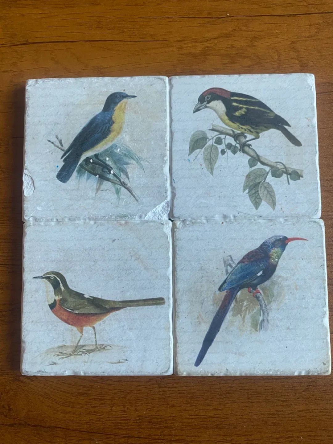 Set of 4 Bird Print Stone Coasters thumbnail