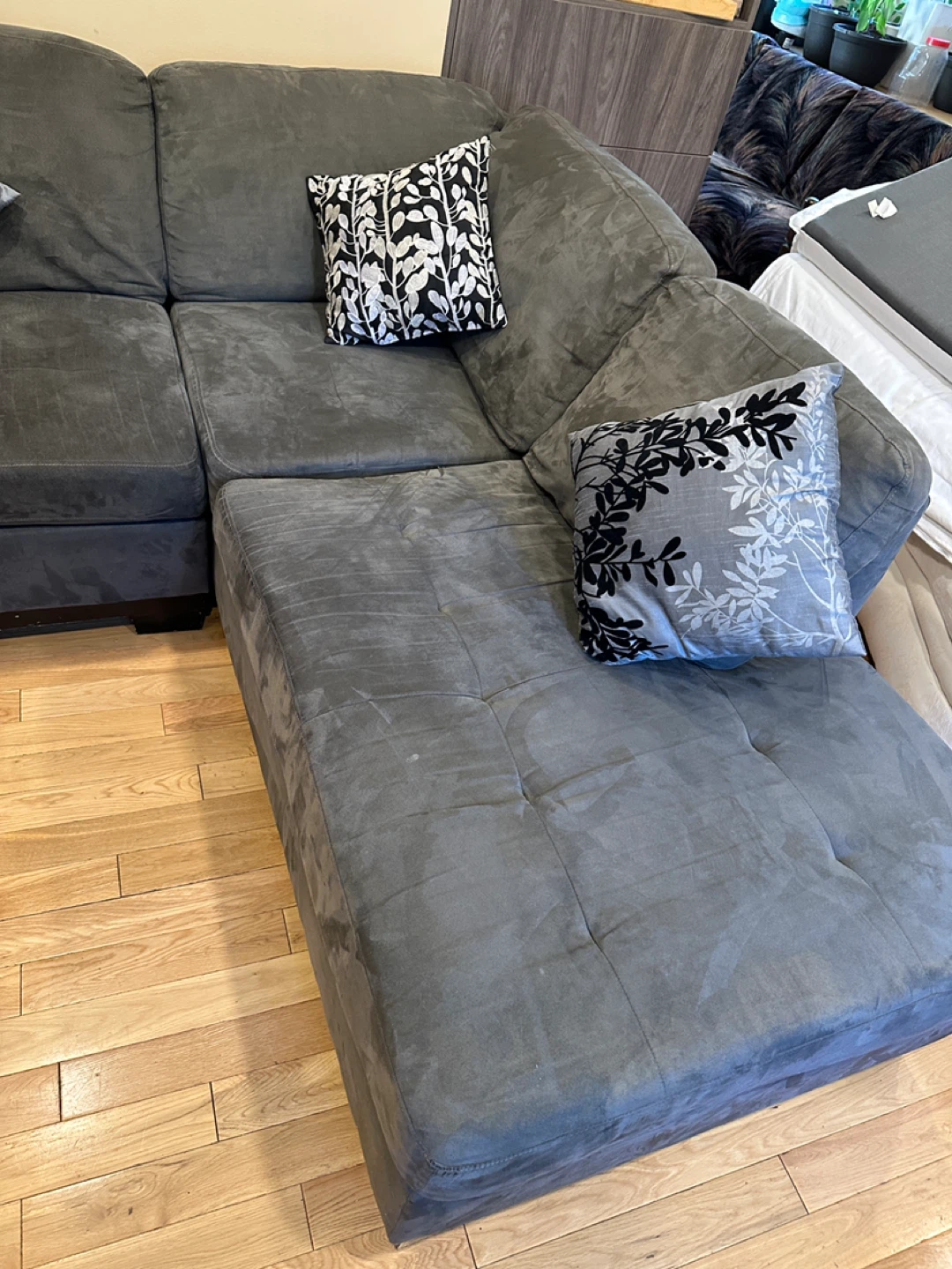 Modern Grey Sectional Sofa with Chaise (CAN DELIVER) - photo 3