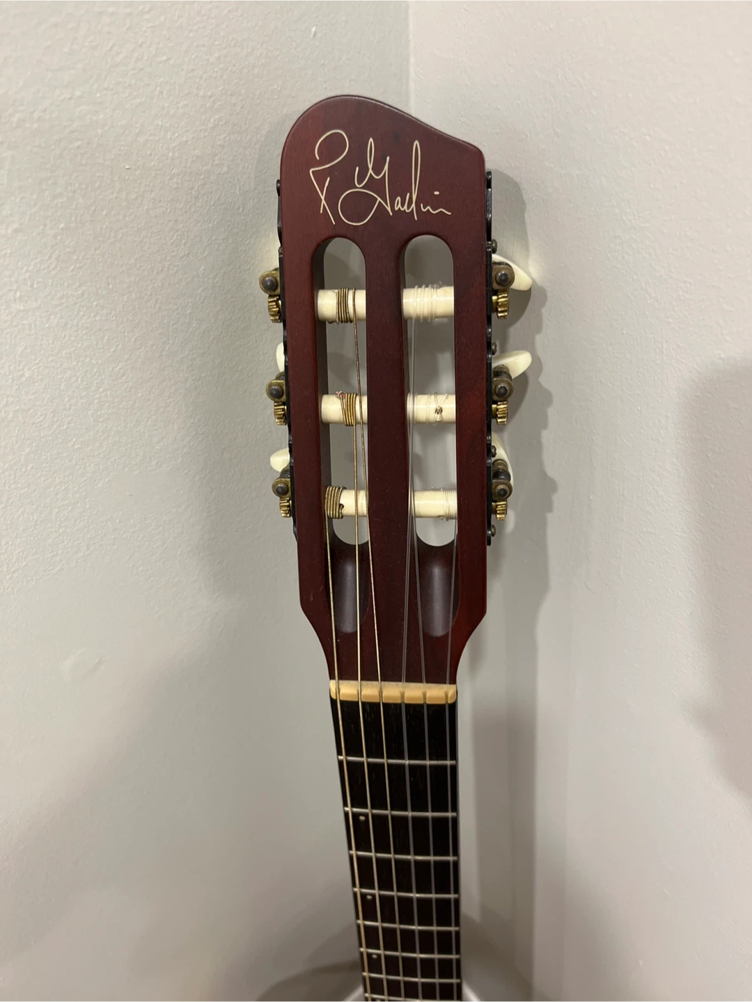 Godin Multiac ACS SA Guitar - photo 3