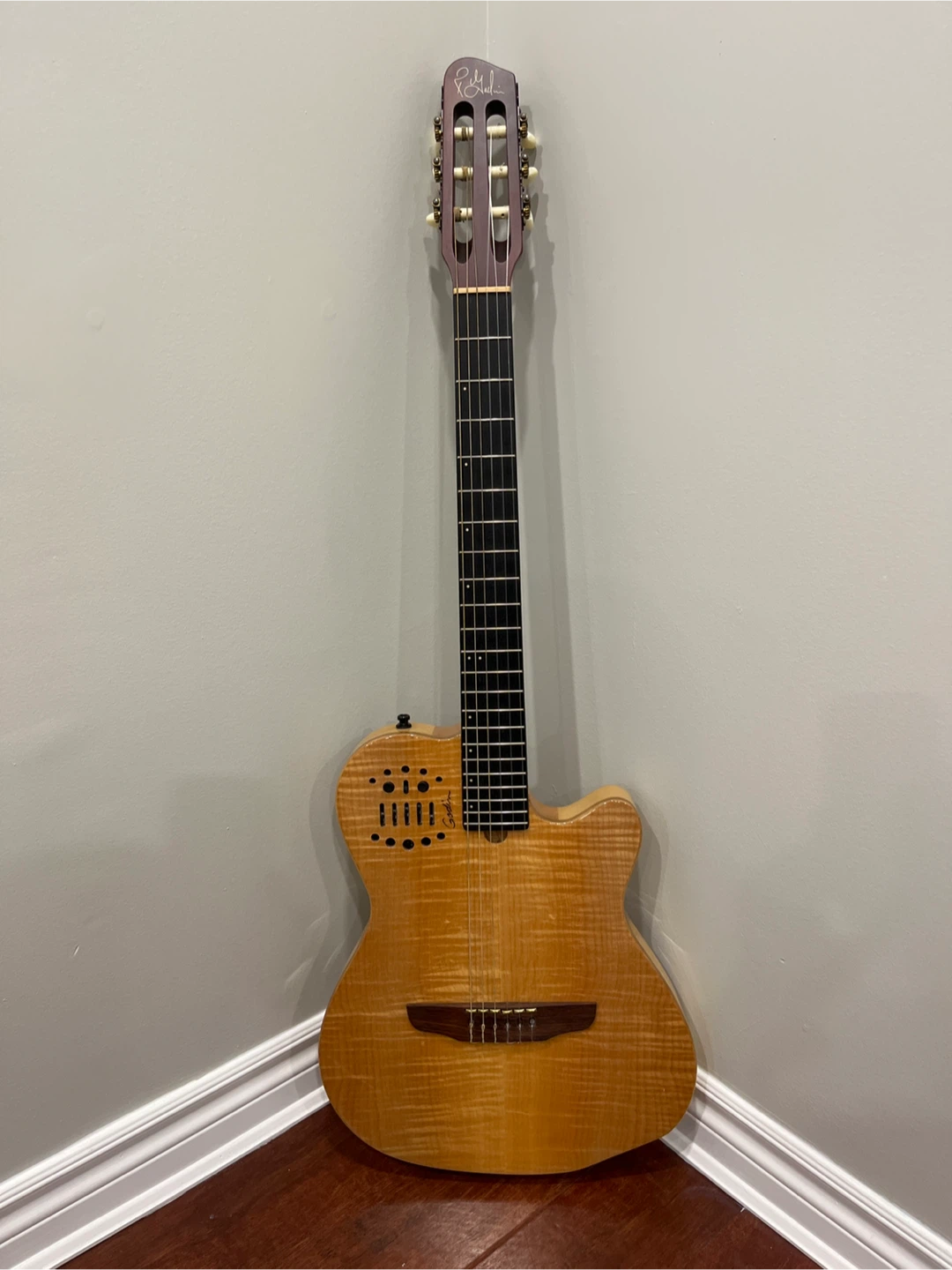 Godin Multiac ACS SA Guitar - photo 2