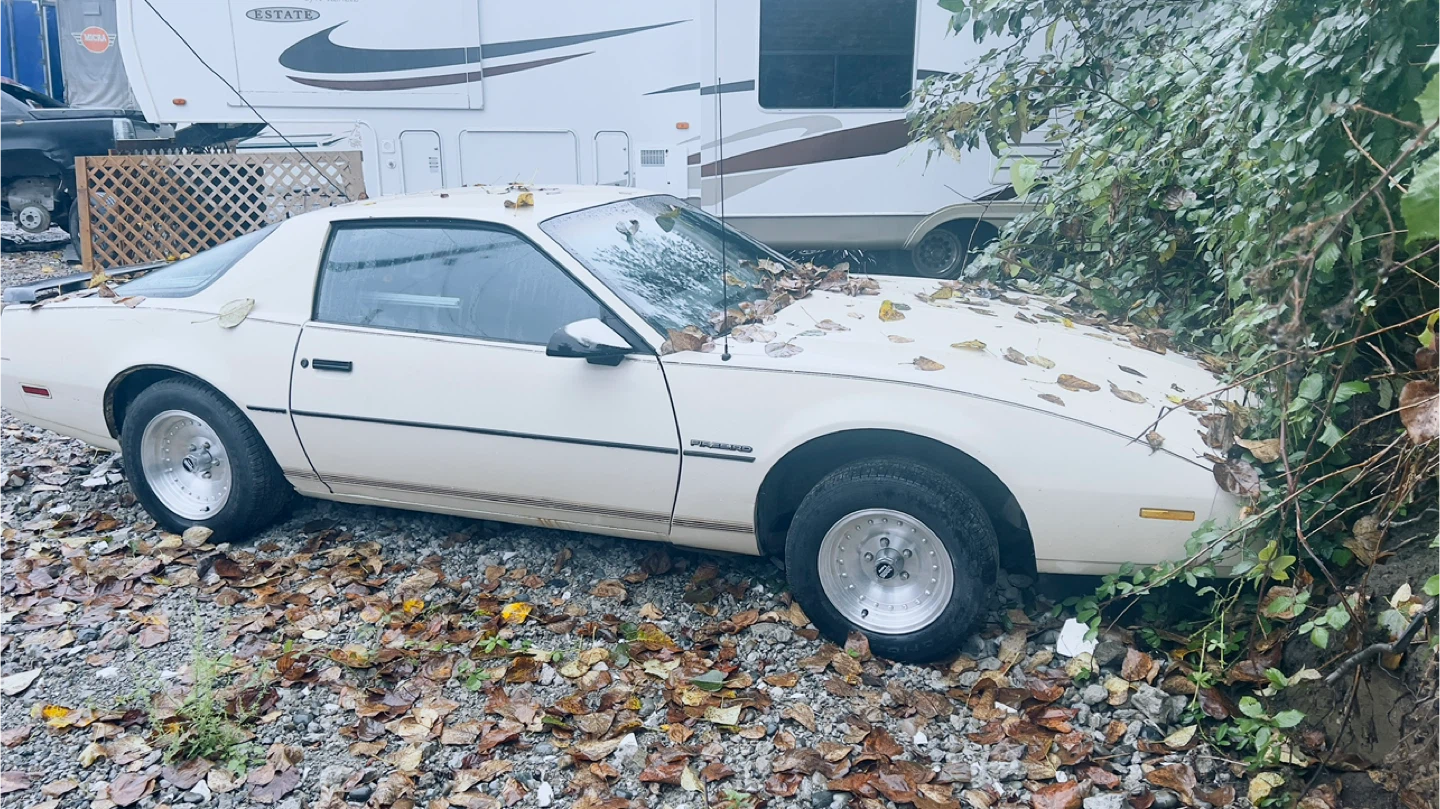 Pontiac Firebird Trans Am - photo 2