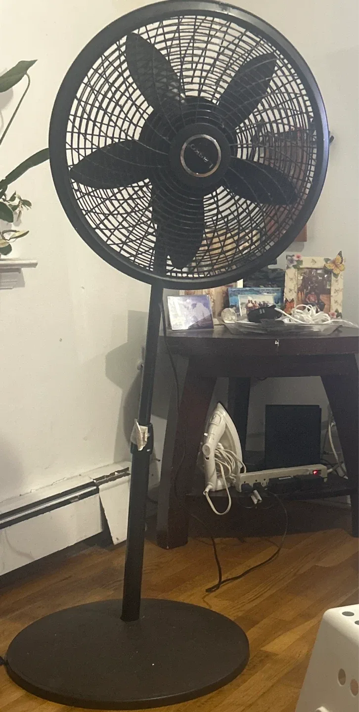 Lasko Black Oscillating Stand Fan 🥕 image indicator(2)