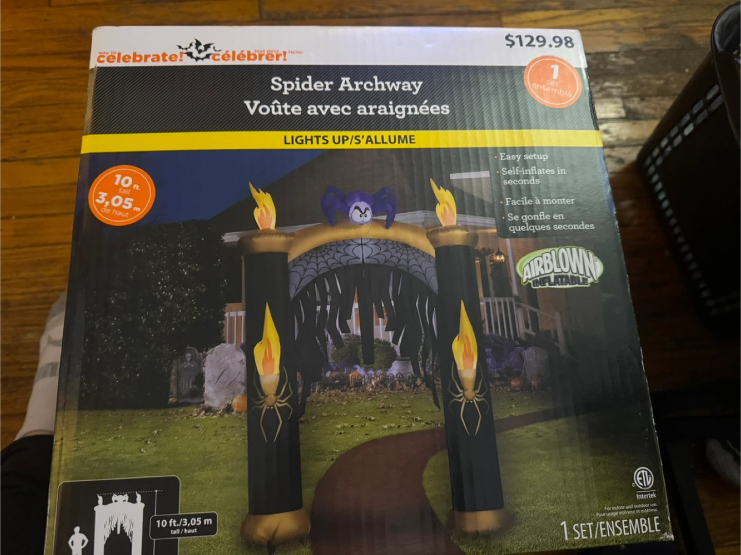 Celebrate Spider Archway - Lights Up, 10 ft