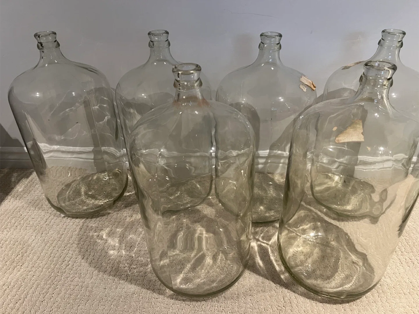 Glass Carboys - Set of 6 image indicator(2)