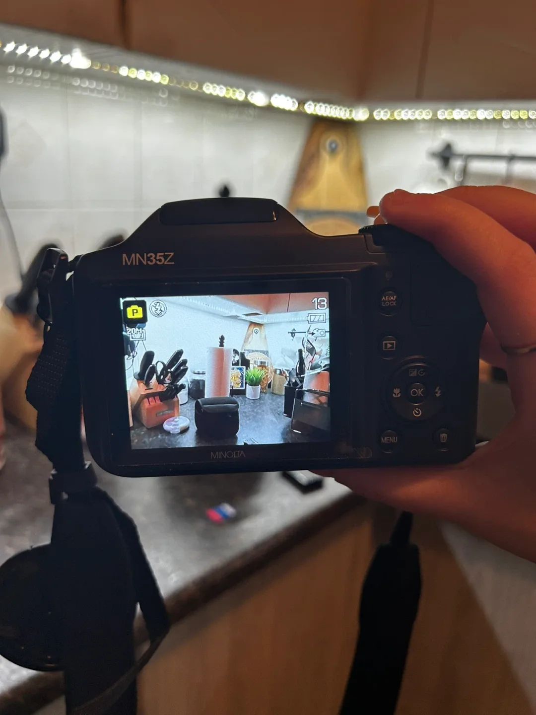 Nikon Minolta MN35Z 20MP Digital Camera image indicator(4)