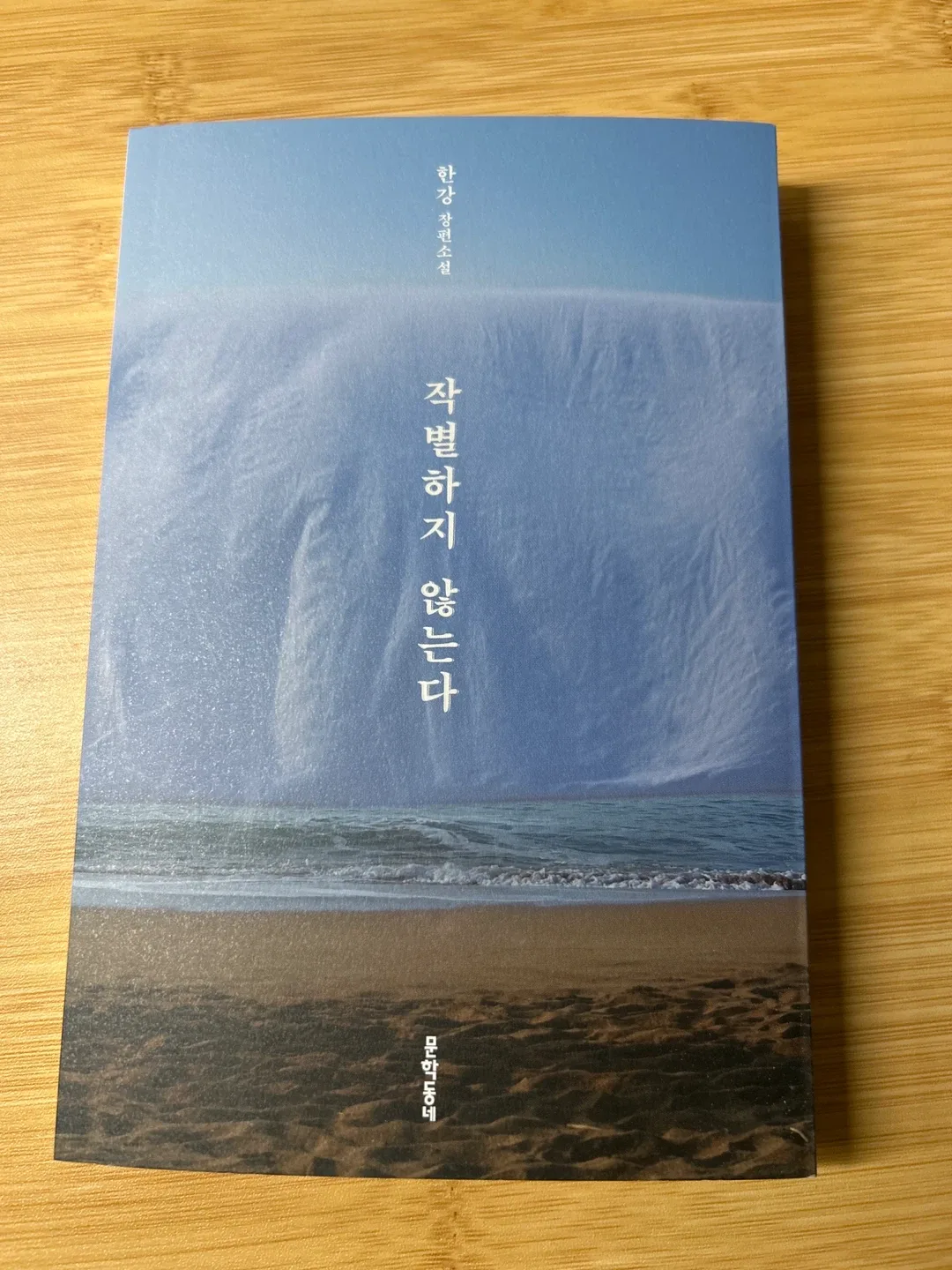 Korean Novel: 작�별하지 않는다 (완전 새책) 👩‍🌾🥕 thumbnail
