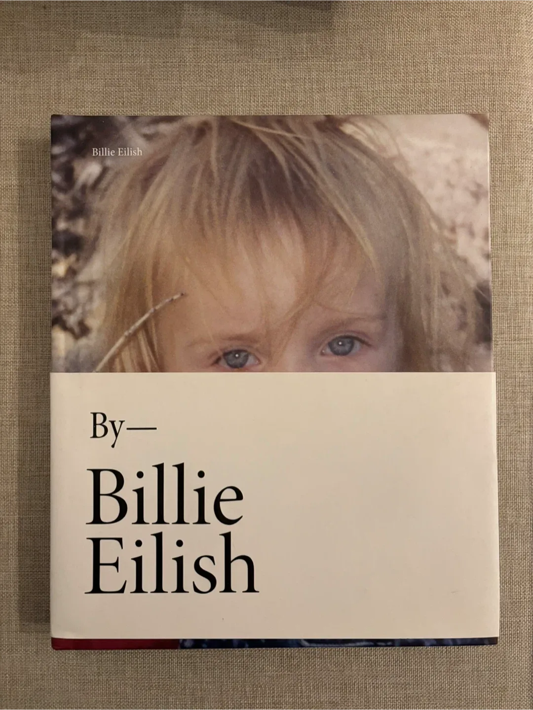 Billie Eilish - By Billie Eilish Book thumbnail