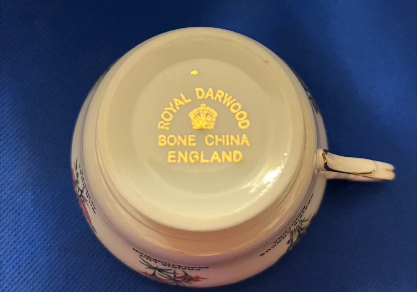 Royal Darwood Bone China Cup and Saucer image indicator(6)