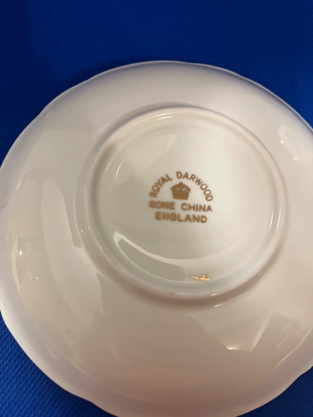 Royal Darwood Bone China Cup and Saucer - photo 5