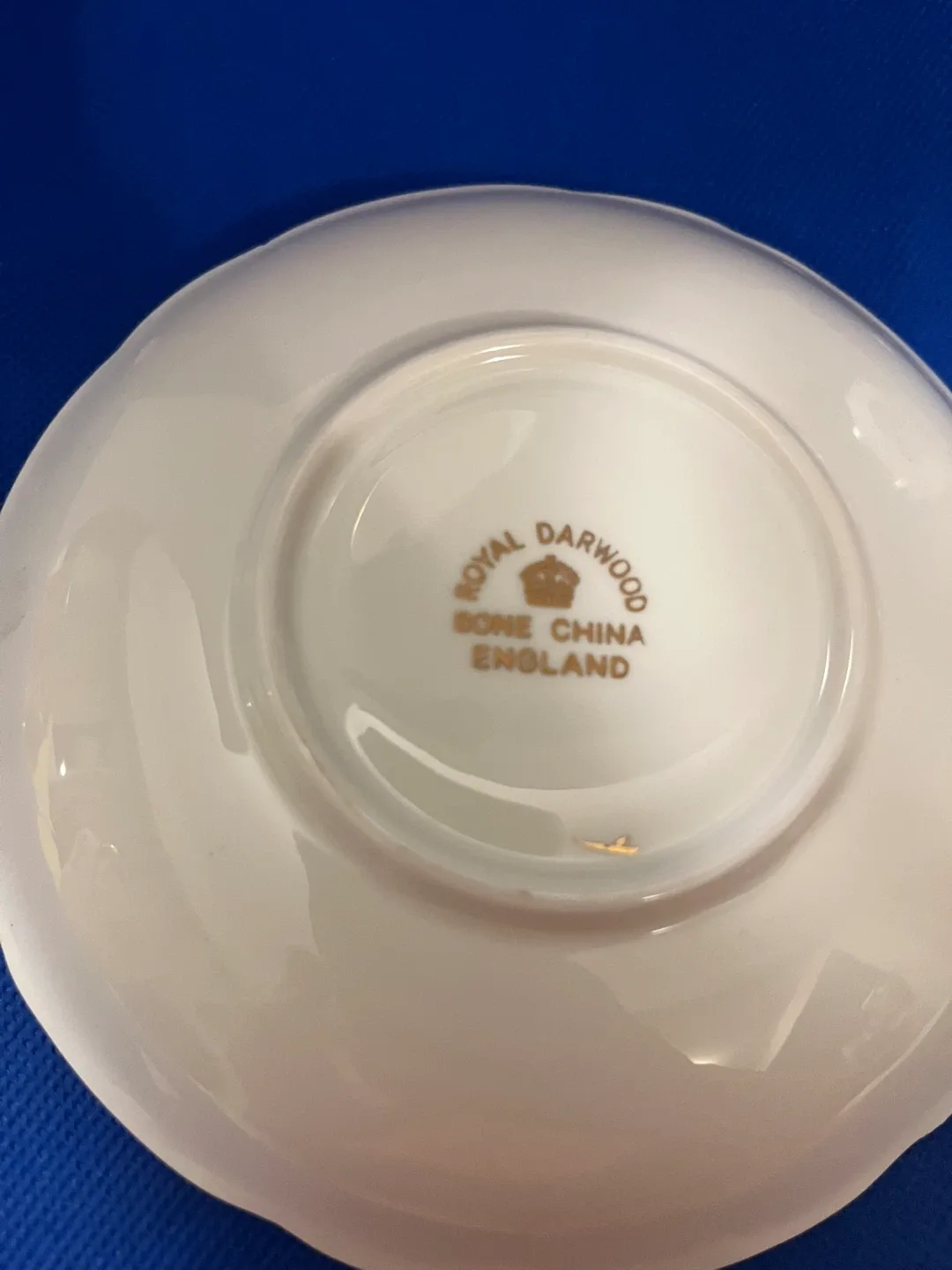 Royal Darwood Bone China Cup and Saucer image indicator(5)