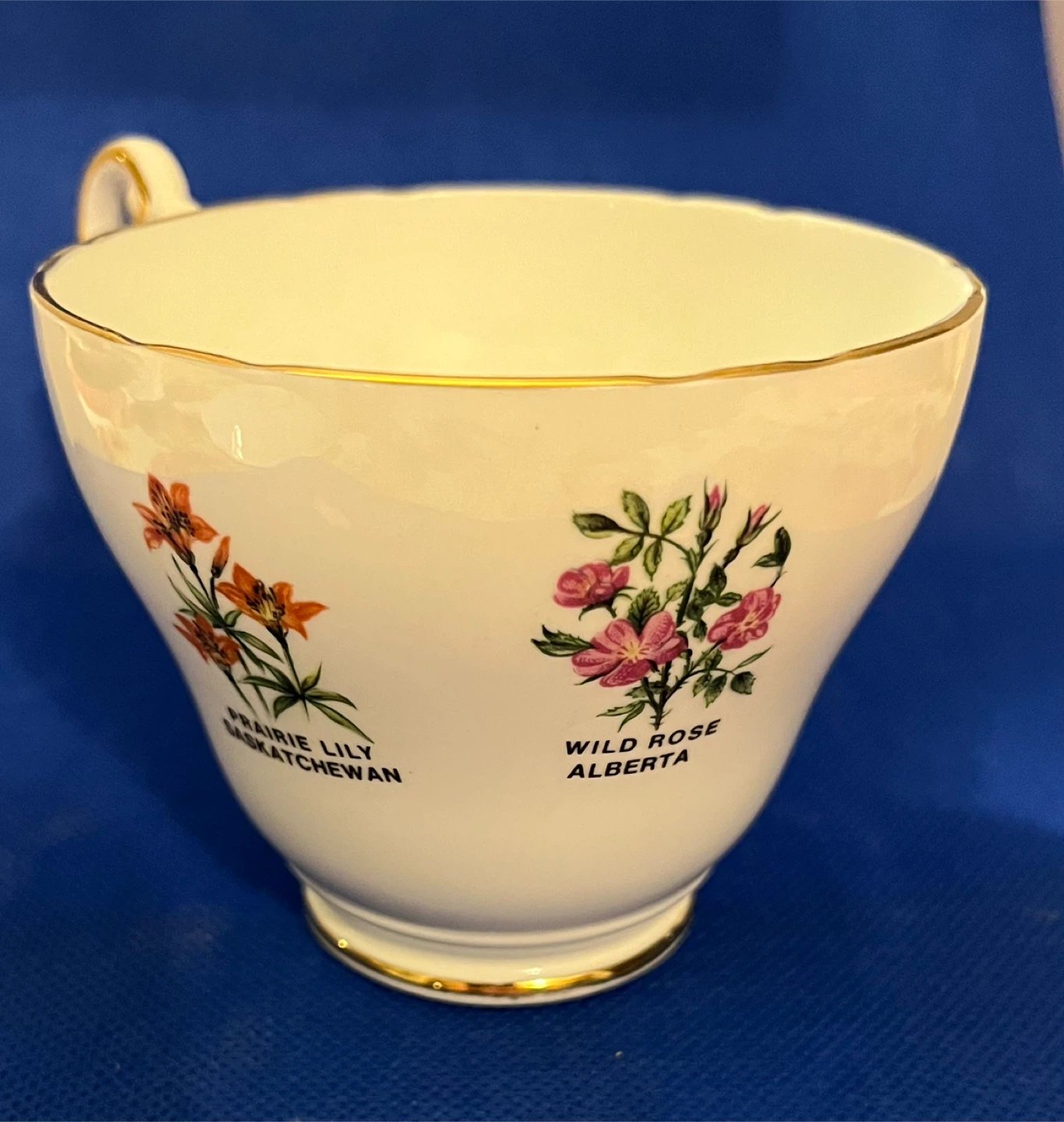 Royal Darwood Bone China Cup and Saucer - photo 3