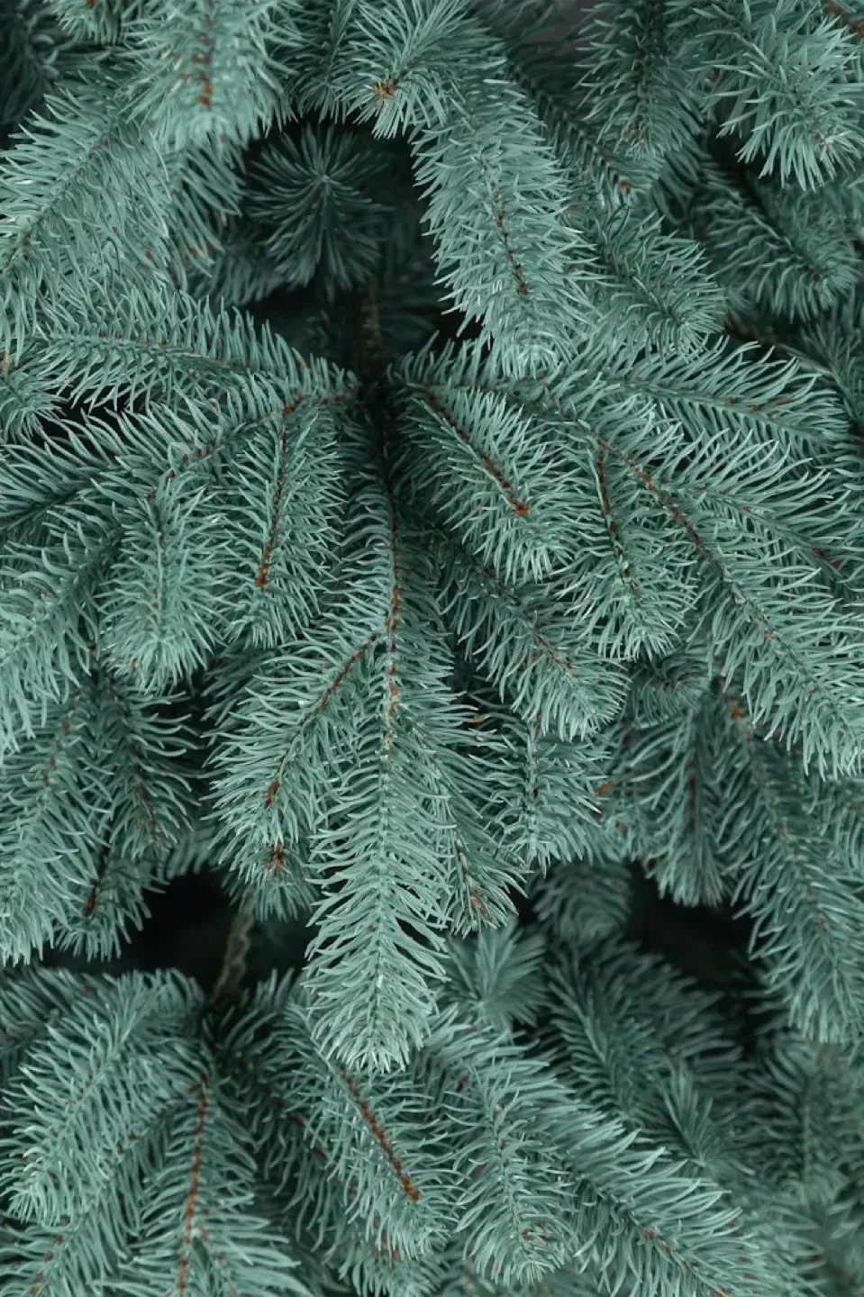 Artificial Christmas Tree -  Spruce image indicator(8)