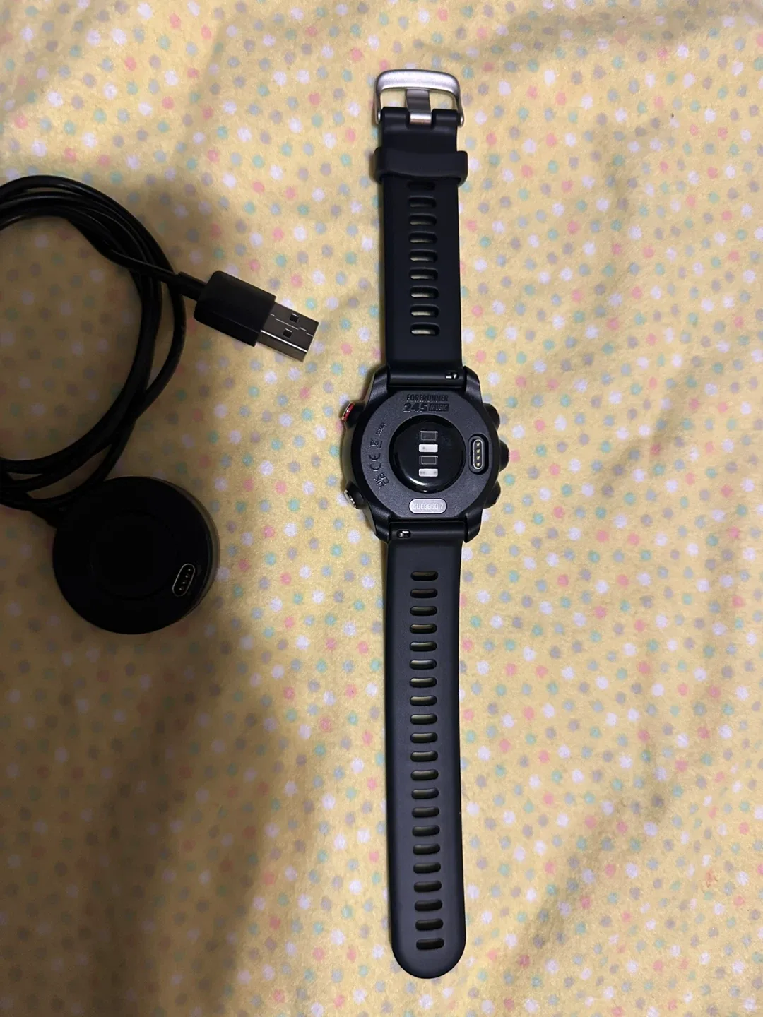 Garmin Forerunner 245 Music GPS Running Watch - Black image indicator(2)