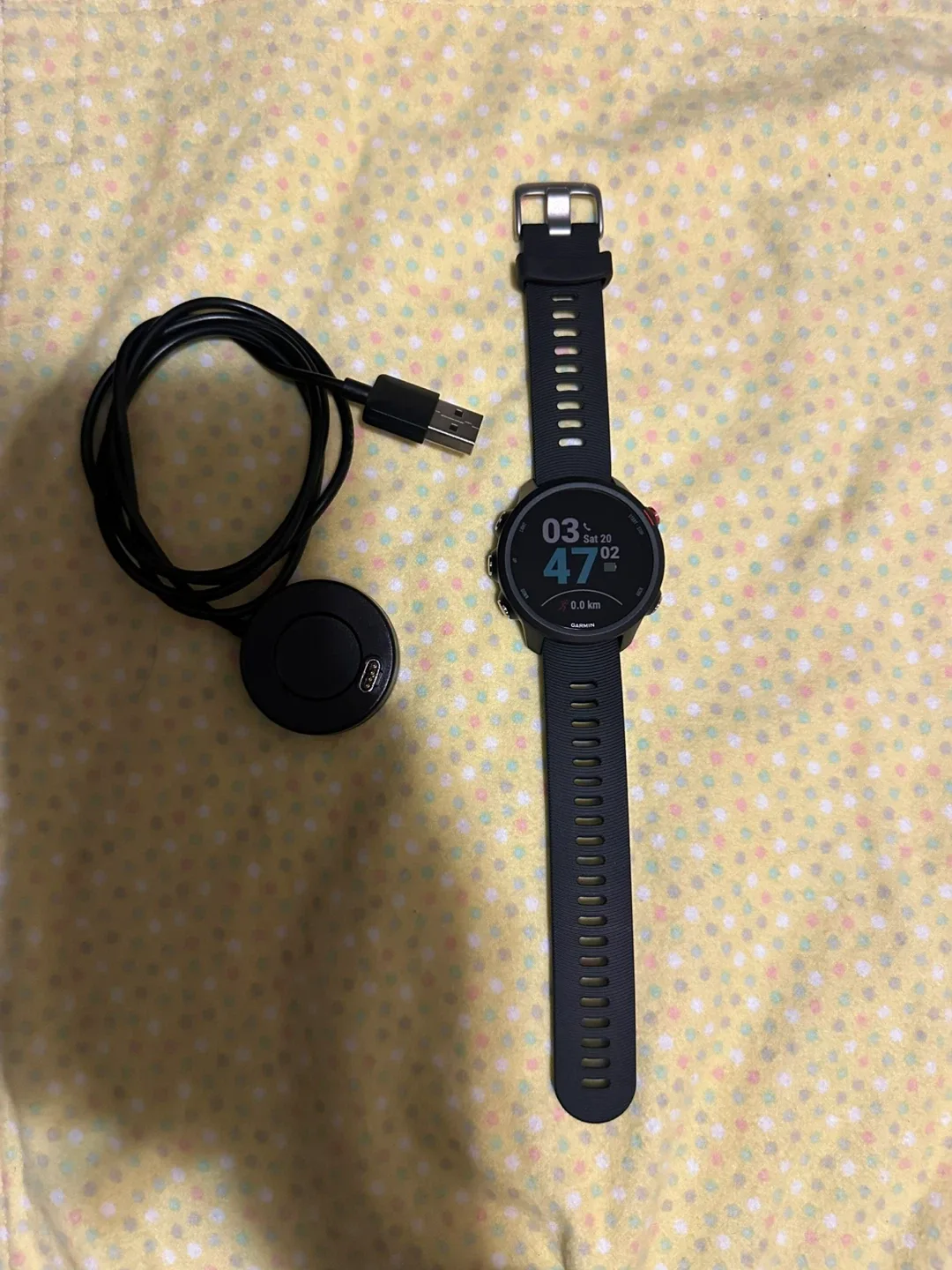 Garmin Forerunner 245 Music GPS Running Watch - Black image indicator(3)