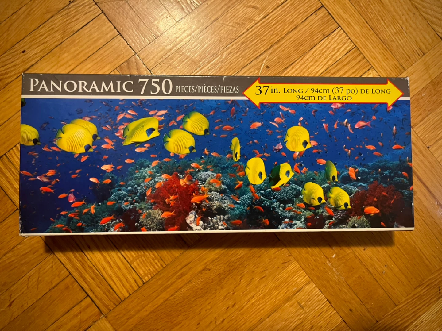 Ocean Puzzle