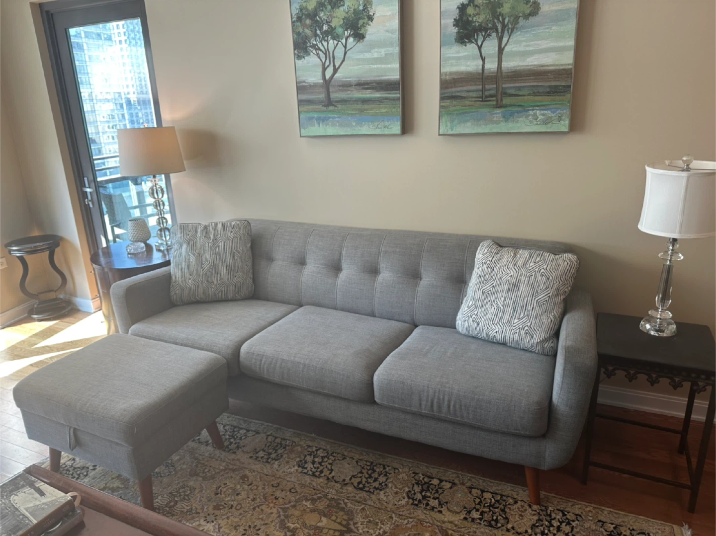 Gray Sofa with Ottoman