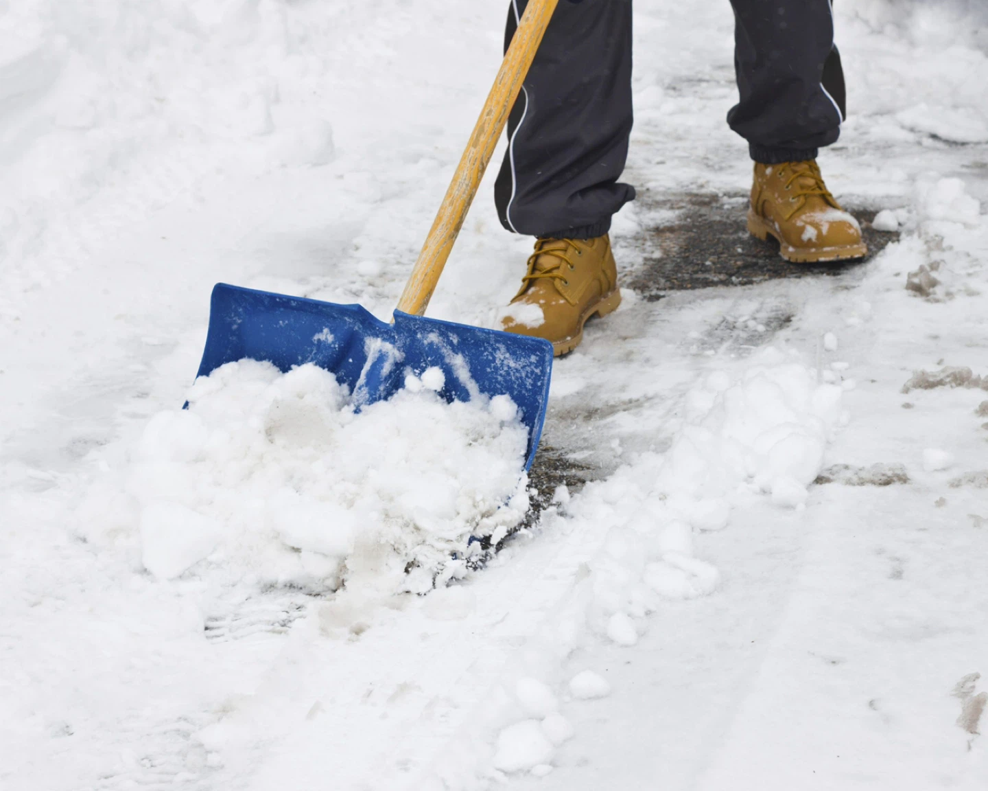 Snow Removal Services - photo 2