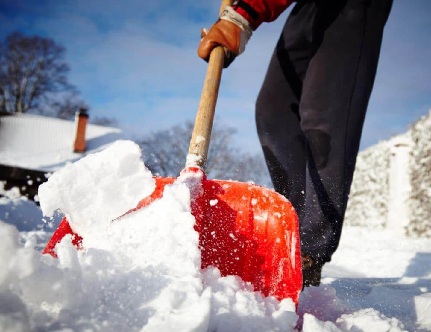 Snow Removal Services - photo 3
