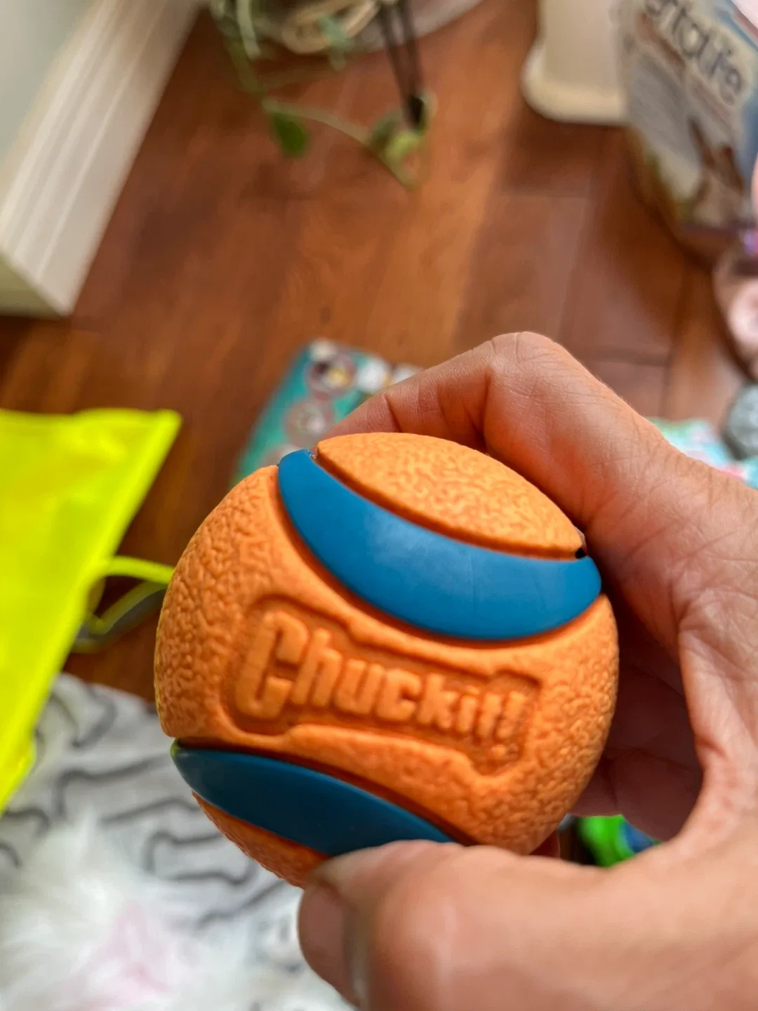 🥕BOX OF DOG ACCESSORIES (11.8" x 15.7") - New in Box! image indicator(6)