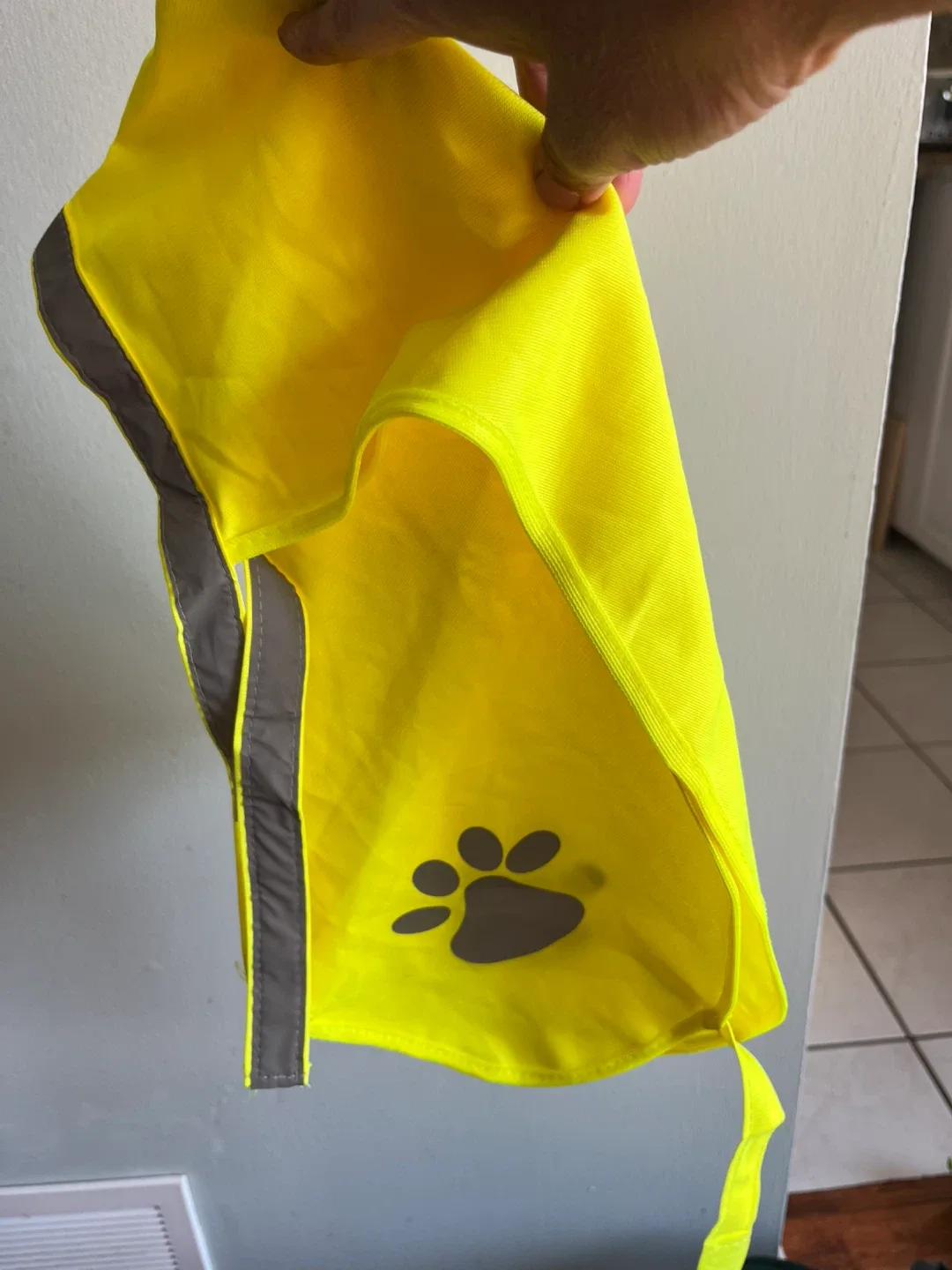 🥕BOX OF DOG ACCESSORIES (11.8" x 15.7") - New in Box! image indicator(7)