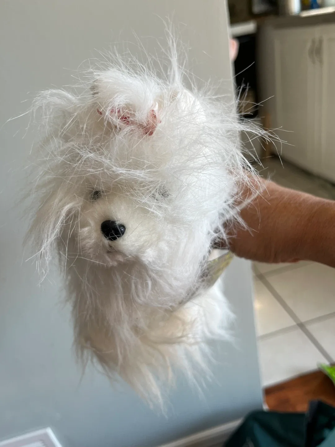 🥕BOX OF DOG ACCESSORIES (11.8" x 15.7") - New in Box! image indicator(3)